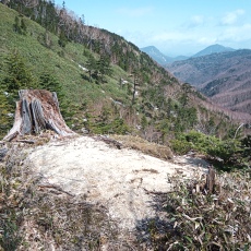 250520_p19.jpg