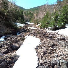 250520_p14.jpg