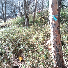 250520_p10.jpg