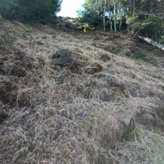 250520_p18.jpg