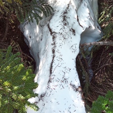 250520_p23.jpg