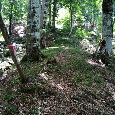 250629_p12.jpg