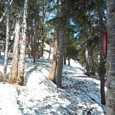 250520_p27.jpg