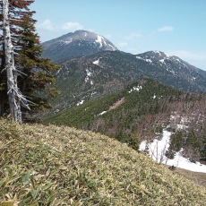 250520_p29.jpg