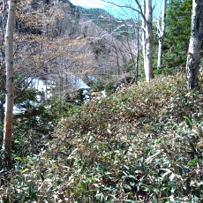 250520_p13.jpg