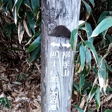 240530_p03.jpg