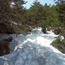 250520_p20.jpg