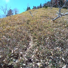 250520_p26.jpg