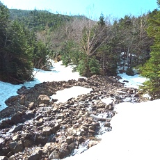 250520_p15.jpg