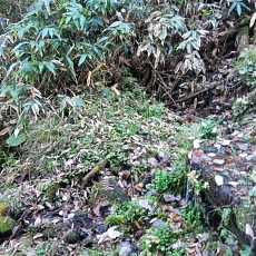 251010_p21.jpg