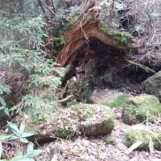251010_p30.jpg