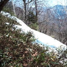 240417_p09.jpg