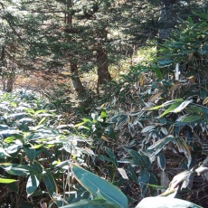 251010_p18.jpg