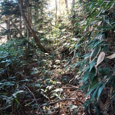 251010_p13.jpg