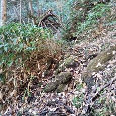 251010_p20.jpg