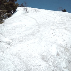 240417_p13.jpg