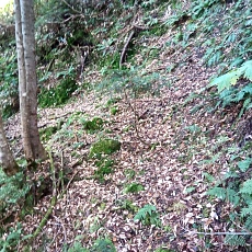 251010_p17.jpg