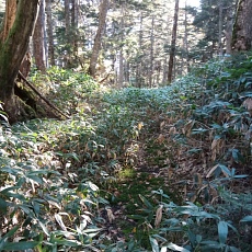 251010_p03.jpg