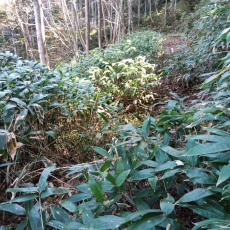 251010_p26.jpg