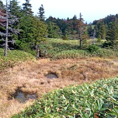251010_p37.jpg