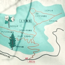 240417_p01.jpg