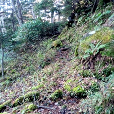 251010_p25.jpg