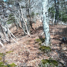 240417_p07.jpg