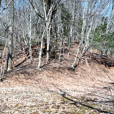 240417_p05.jpg