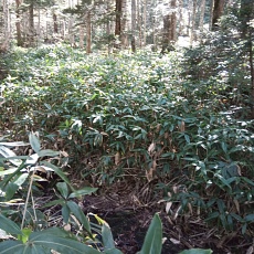 251010_p04.jpg