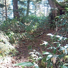 251010_p07.jpg