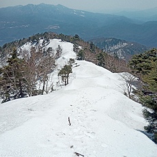 240417_p12.jpg