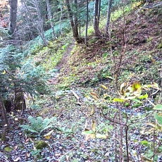 251010_p23.jpg