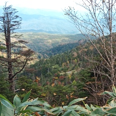 251010_p31.jpg