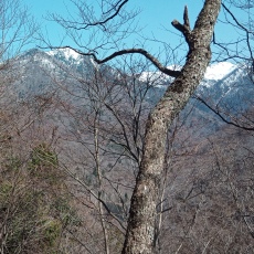 240417_p04.jpg