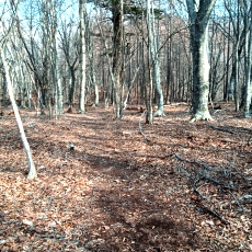 240417_p02.jpg