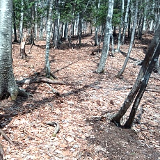 240417_p06.jpg