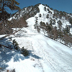 240417_p11.jpg