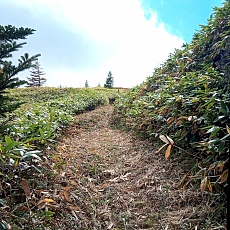 251010_p38.jpg