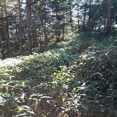 251010_p06.jpg