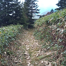 251010_p34.jpg