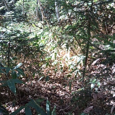 251010_p19.jpg