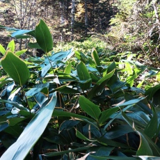 251010_p16.jpg