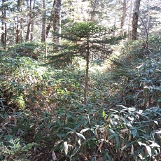 251010_p02.jpg