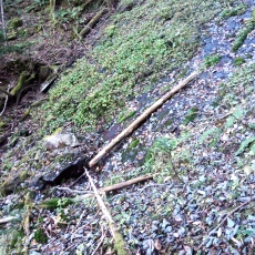 251010_p24.jpg