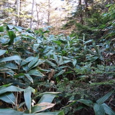 251010_p08.jpg