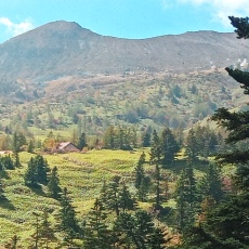 251010_p35.jpg