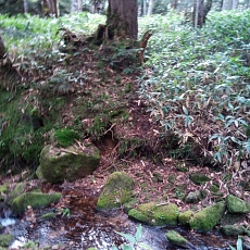 251010_p01.jpg