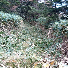 251010_p33.jpg