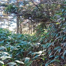 251010_p12.jpg