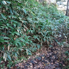 251010_p27.jpg
